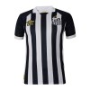 Camiseta de fútbol Santos FC 2023-24 Segunda Equipación - Hombre